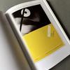 [USED] Jan Tschichold - Master Typographer