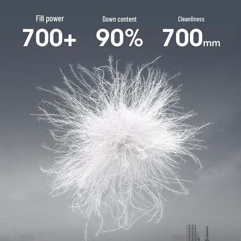 BOSIDENG B250134182 Short Lapel Goose Down Jacket