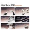 SHOKZ OpenDots ONE E310 Open-Ear Clip Bluetooth Earbuds