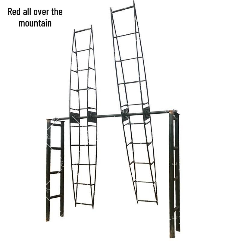 Anti-Dizziness Double Rotary Training Ladder 1