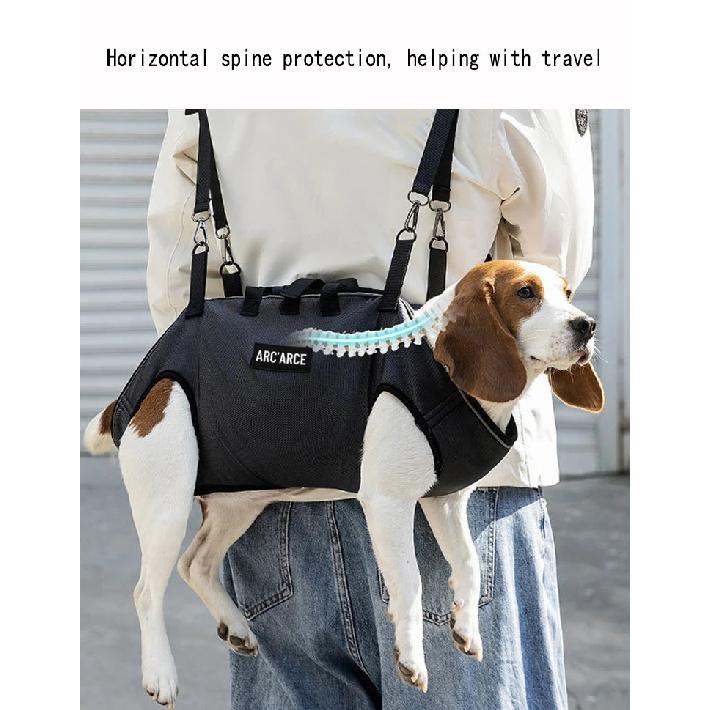 New Dog Backpack for Outdoor Use, Double Shoulder Strap Portable Horizontal Pet Backpack with Auxiliary Straps, Pet Carrier for