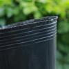 50/100pcs Black Seedling Nursery Pots Planting Pot Black Grow Bag Transplant Breathable Cup Vegetable Container Nursery Cup