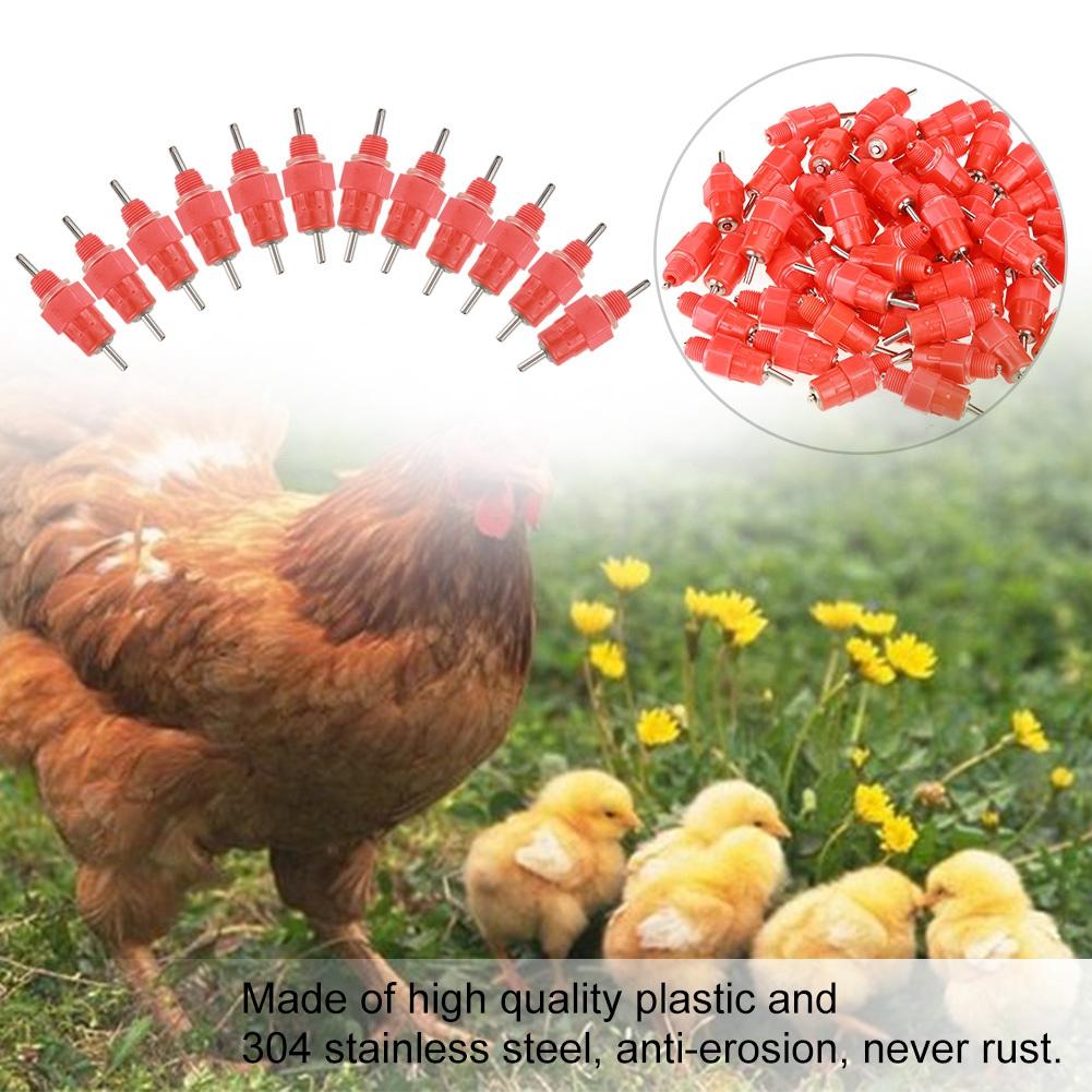 50 PCS Chicken Nipple Feeder Water Drinker Duck Hen Poultry for 3 4  PVC