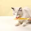 Pet Food Squeeze Spoon Cat Wet Treat Stick Feeding Scoop Dog Food Storage Spoon Easily Use Cat Wet Food Scoop Pet Supply