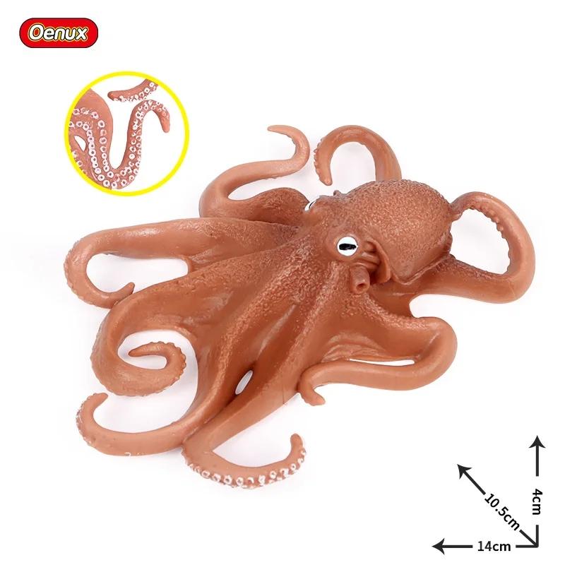 Oenux Marine Molluscs Model Simulation Squid Octopus Growth Cycle Action Figure Sealife Animals Education Collection Kids Toy