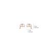 Popular Women's Stud Earrings/Stylish Luxurious Eight-Pointed Star Earrings/Unique Design Pair