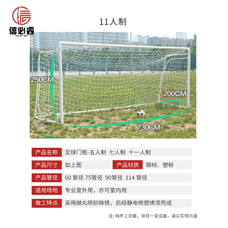Standard Competition Football Goal