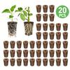 Ghivece de flori și coșuri – Sol pentru plante