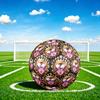 1pc Royal Heart Crown Size 5 Soccer Ball Professional Match Training Football Indoor &Outdoor Sports Ball Lightweight Durable m6512