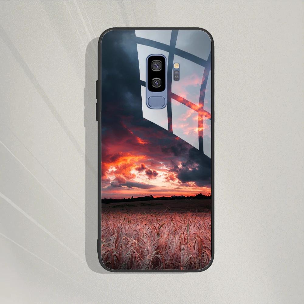 

Case For Samsung Galaxy S9 Plus Phone Cover Cartoon Tempered Glass Case Painted Coque For Samsung S9 Plus S9Plus G965F Funda S 9 Samsung S9 Plus