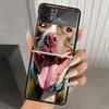 Pit Bull Pet Dog Pitbull Hard PC Phone Case For Samsung Galaxy Z Flip 7 6 5 4 3 Black ZFlip7 ZFlip6 Flip5 Flip4 Flip3 5G Print C