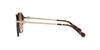 Coach Dark Tortoise Sunglasses Size 56 Women's HC8332D,