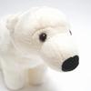 Exciting Illustrated Guide Land Creatures Edition Animal Plush Toy - (Polar Bear)
