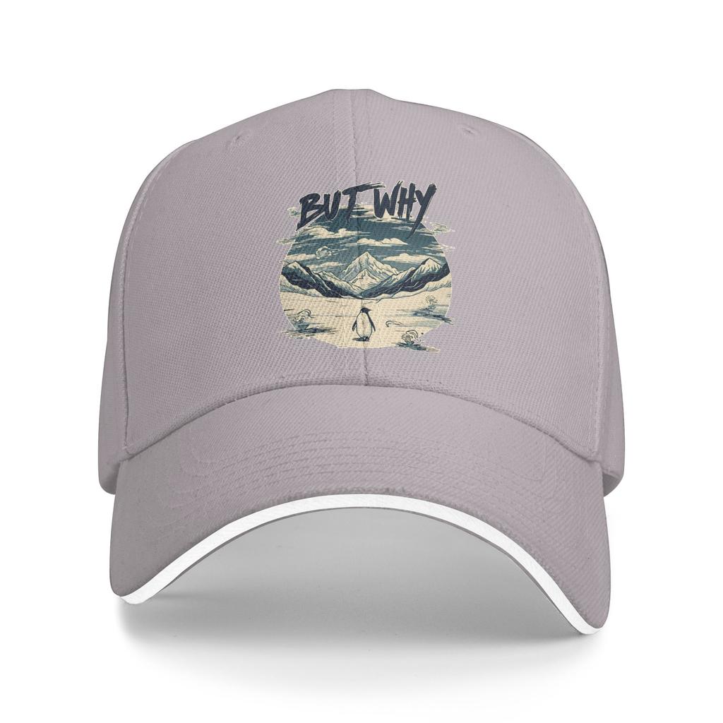 Spring Nihilist Penguin But Why Baseball Cap Outdoor Sports Stylish Design Sun Hip Hop Hats UnisexTeens SunProof Baseball Caps
