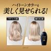 Tsubaki shampoo treatment set bottle + bonus premium EX damage care repair oil force smoothness perm color conditioner