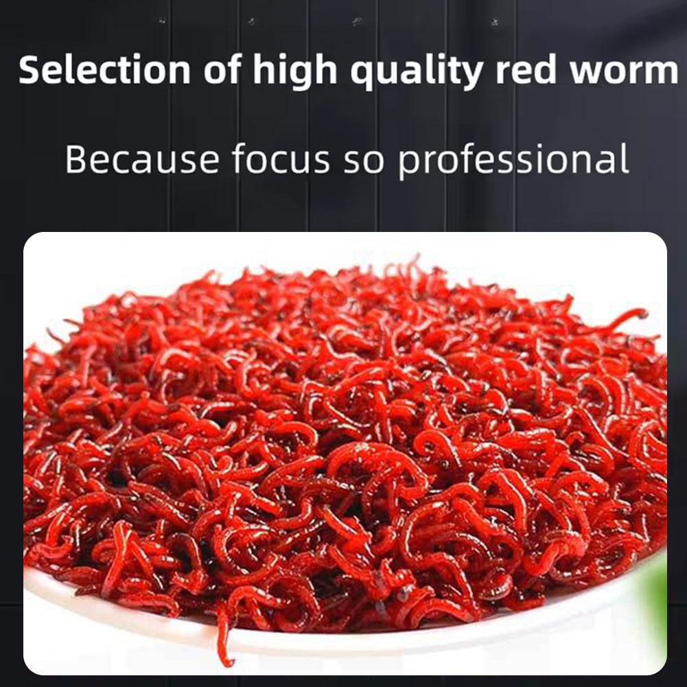 1 Stück Starker Fischlockstoff Konzentrierter Blutwurm Wurmduft Rot Spray Forellenangeln Aroma A E0X2