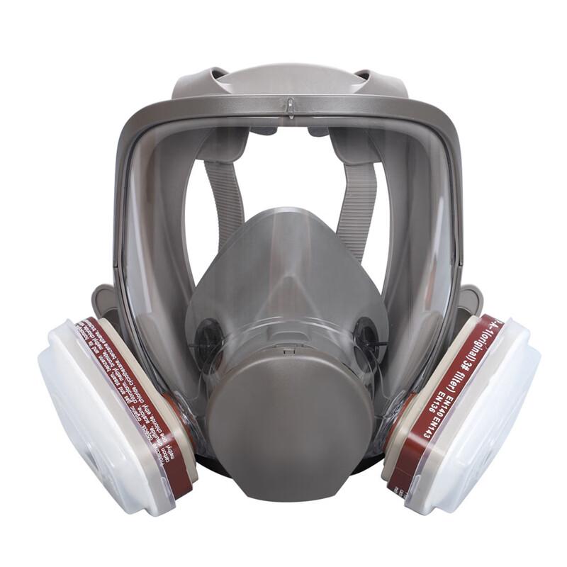 DAXTE 6800 Full Face Gas Mask
