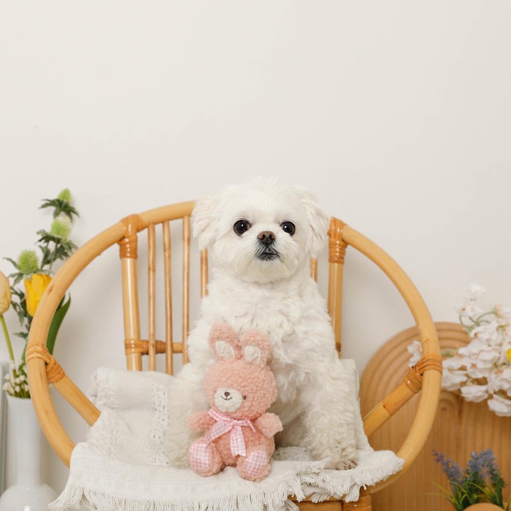 Rabbit Gingham Check Ribbon Plush Squeaky Dog Chew Toy Plush Squeaky for Small Dogs monchéri Monchéri Toy, (Pink/FREE), Toy, Toy,