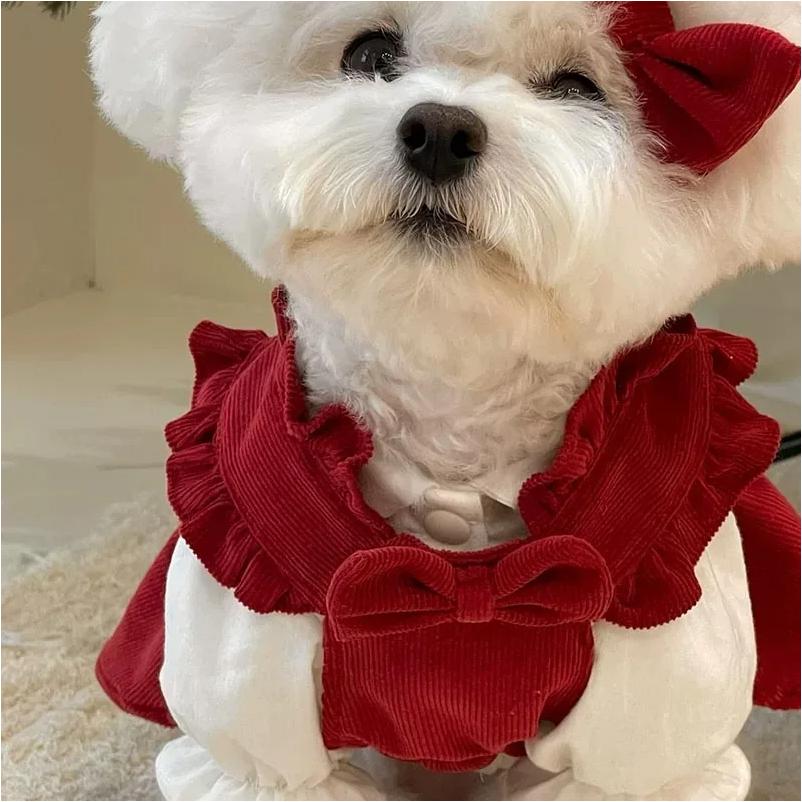 Puppy Bow Knot Dress Set Winter Warm Dog Clothes Pet Christmas Princess Dress Teddy Solid Color Skirt Send Clip