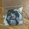  Levi Badges