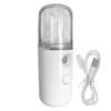 30ml Nano Facial Steamer USB Mist Facial Sprayer Humidifier Face Beauty Spray Hydrating Apparatus Cold Spray Face Moisturizing
