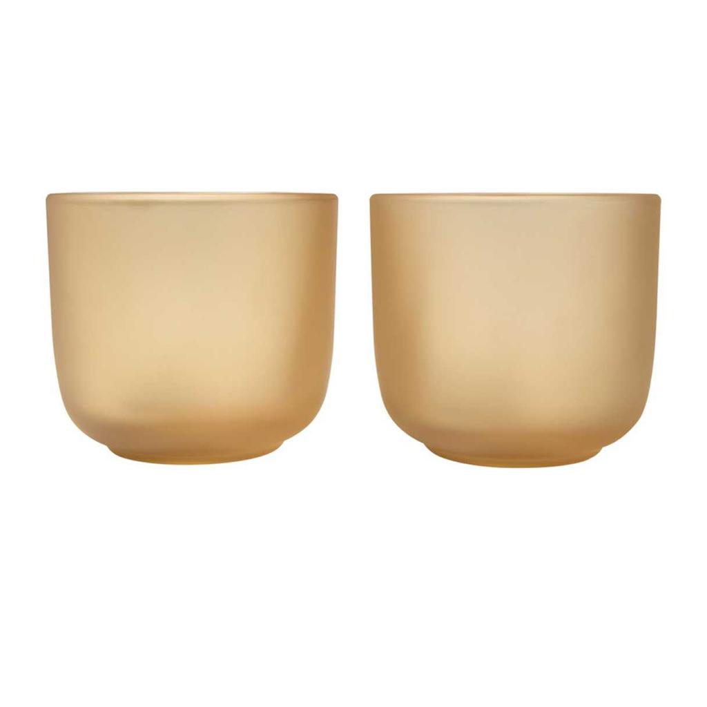 Seasons Borosilicate Glass 200ml Cup (Pack of 2)