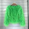 Women Faux Fur Coat Autumn Winter Fluffy Short Coat Faux Fur Jacket
