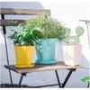 Flowerpot Gardening Base Container Garden Ornament Multiple Colors Plant Planter Practical Portable Fashionable