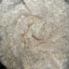Sequin Mesh Lace Fabric 1yard 130cm DIY Bow Material DIY 3D Flower Tulle Fabric  Dress Decoration