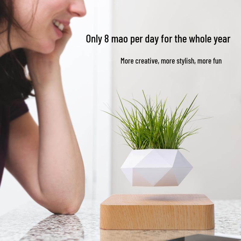 Magnetic Levitation Flower Pot for Home Decor - Creative Floating Bonsai Planter
