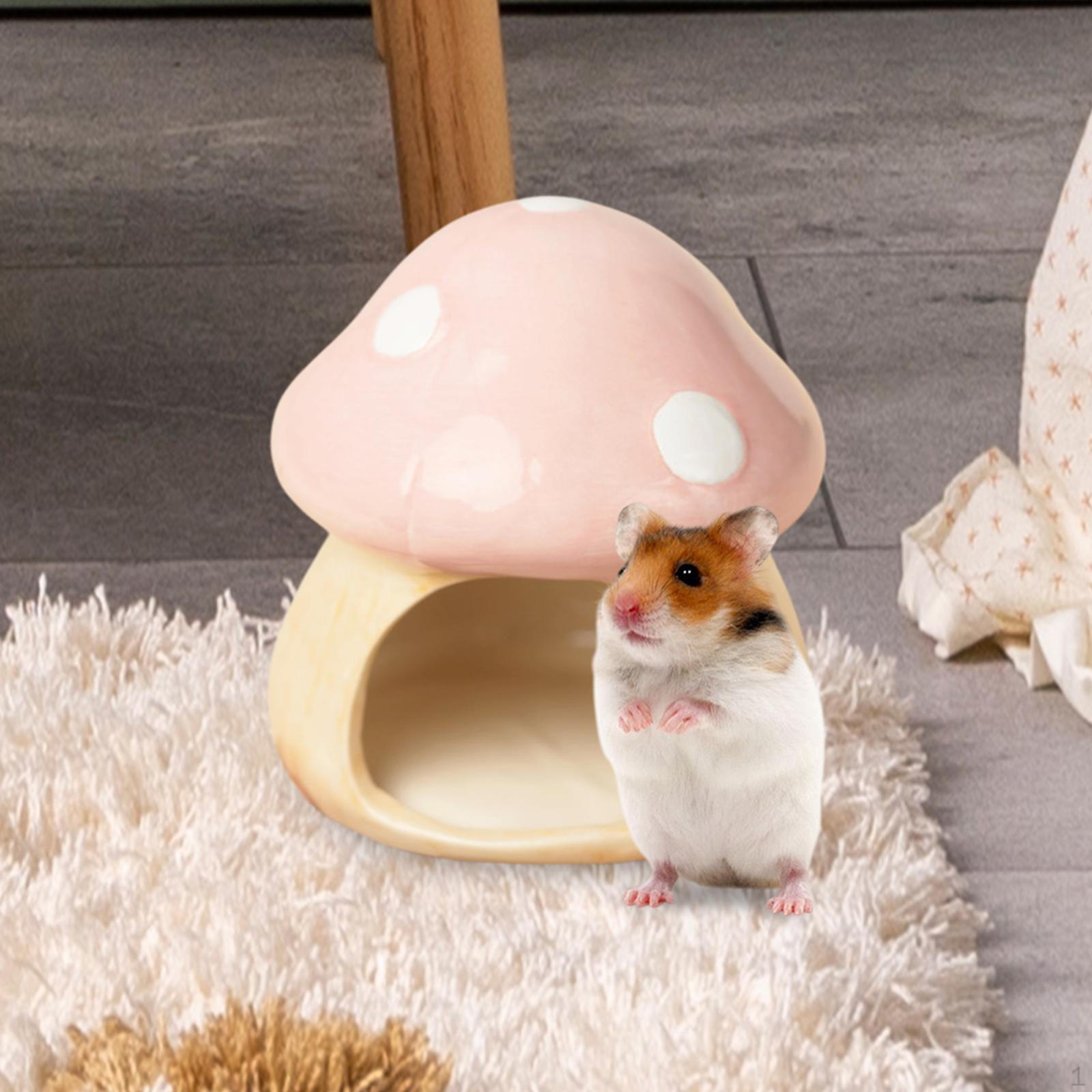 -MOLZ -HAMSTER -DISTION, Hamster -hide, Chinchilla Hut Cartoon Cave Guinea Pig -house Hiding Place Small