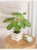 Nordic Green Artificial Potted Plant for Home or Office Decoration