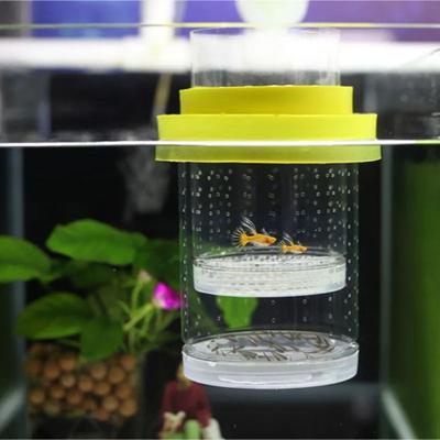 Colorful Floating Hatching Box Detachable Aquarium Breeder Feeder  Home