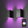 Newest Tuya 9W Wall Lamp Light App Control Smart Outdoor Lighting Acrylic Wall Mounted Light Led Smart Wall Lamps Sconce
