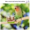 Parrot Food Bowl Feeder Cup With Clip Small Pet Bird Feeding Basin Bracket Feeder Water Bowl Bird Cage Feeder Pet Accessories