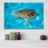 Green Sea Turtle Swims Underwater Wall Pictures Canvas Painting Ocean Marine Life Animal Posters Prints for Living Room Decor