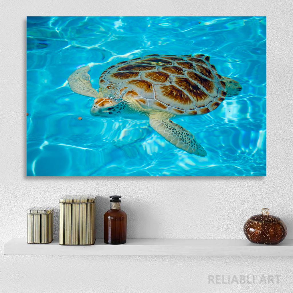 Green Sea Turtle Swims Underwater Wall Pictures Canvas Painting Ocean Marine Life Animal Posters Prints for Living Room Decor