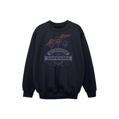 Boys Quidditch At Hogwarts Sweatshirt