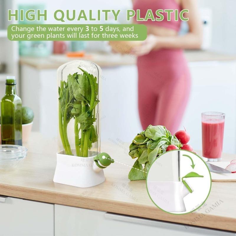 Kitchen Box Vegetable and Herb Crisper Freshness Extender Eco Friendly Material Container with Lid for Longer Lasting Produce