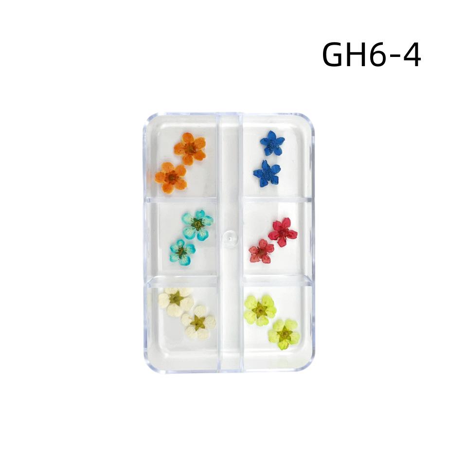 6-Grid Natural Dried Flowers for Nail Art - Japanese Style Sunflower & Baby's Breath DIY Decorations