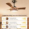 Oeny Full Spectrum Living Room Fan Light
