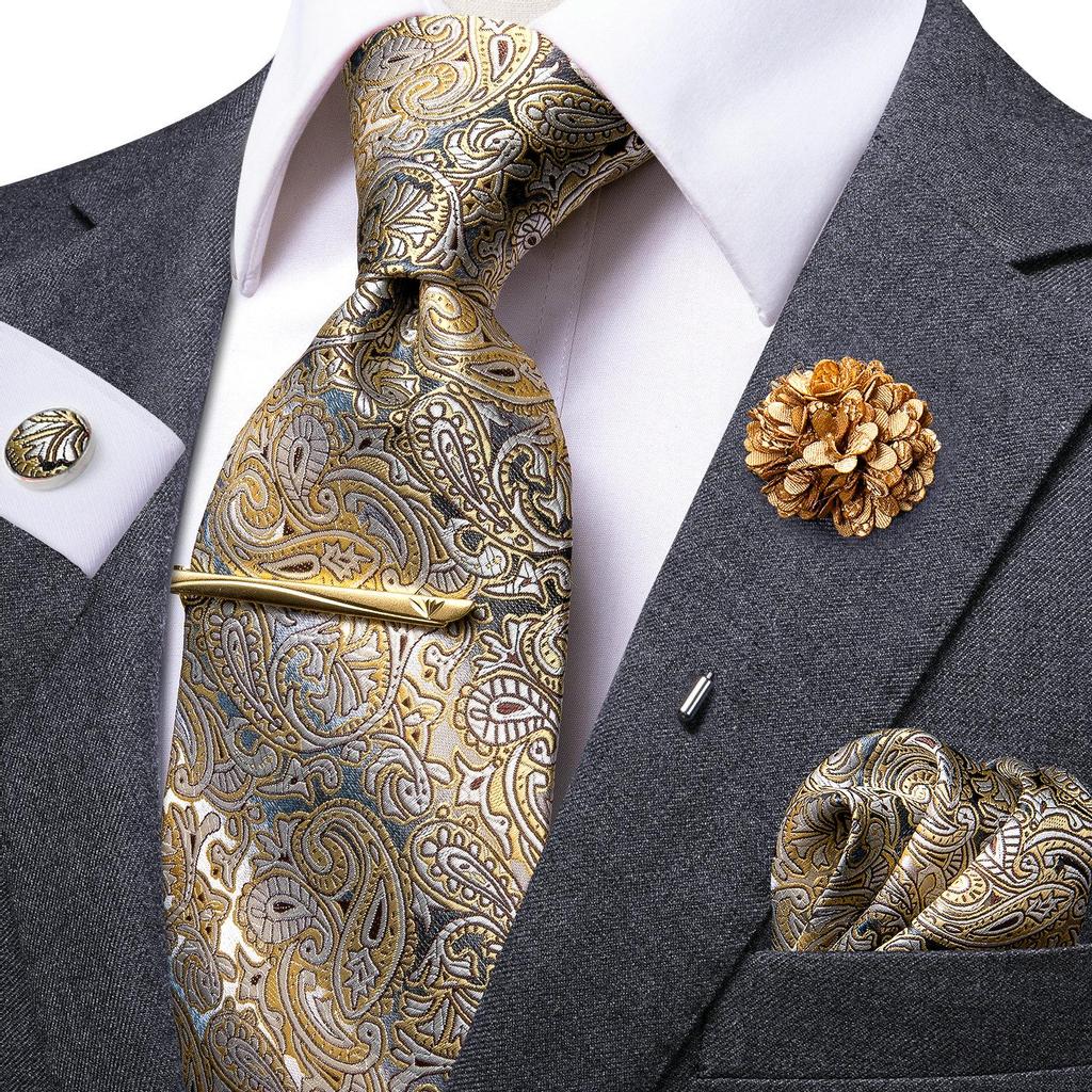 Hi-Tie Mens Paisley Silk Tie Set Brooch Pin Necktie Hanky Cufflinks Tie Clip for Business Wedding