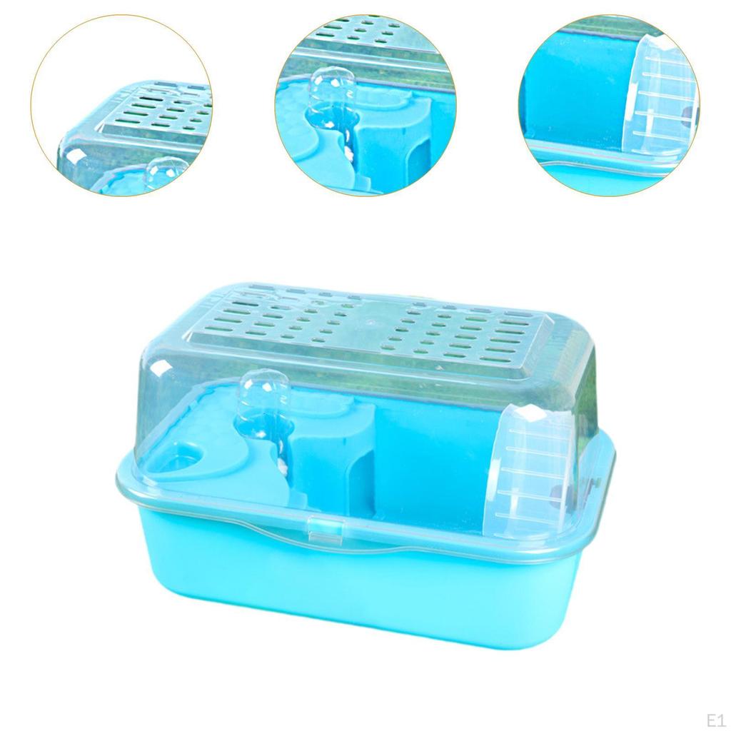 Exercise Space for Hamsters And Small Pets, Ideal Mice Gerbils