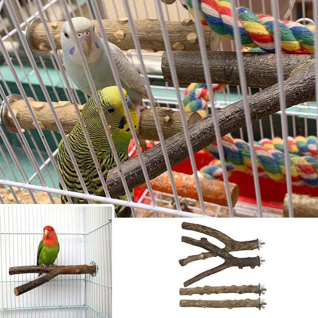 Natural Wood Pet Parrot Raw Wood Fork Tree Branch Stand Rack Squirrel Bird Hamster Branch Perches Chew Bite Toys Bird Supplies