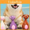 Brinquedo de Borracha Squeaky de Alta Qualidade Para Cães Em Design Divertido de Desenho Animado E Cores