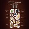 Fenghua Nine Herbal Essence Anti-Hair Loss Shampoo