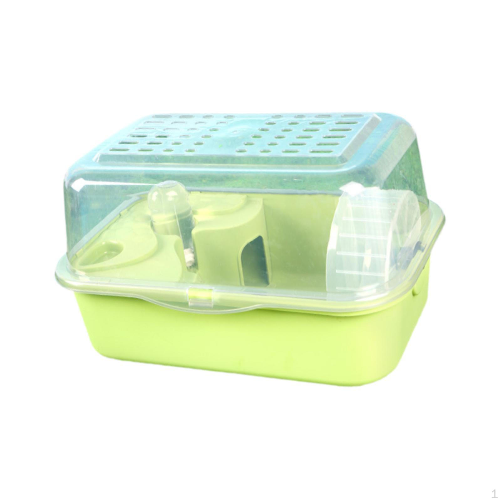 Exercise Space for Hamsters And Small Pets, Ideal Mice Gerbils зелёный
