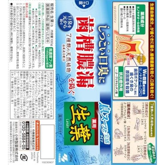 Shoyou Breath Refreshing Type Medicinal Toothpaste Prevents Periodontal Disease Japanese Herbal Flavor Persistent Bad 100g Quasi-Drug