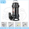 Cangyi Emergency Industrial Drainage Pump