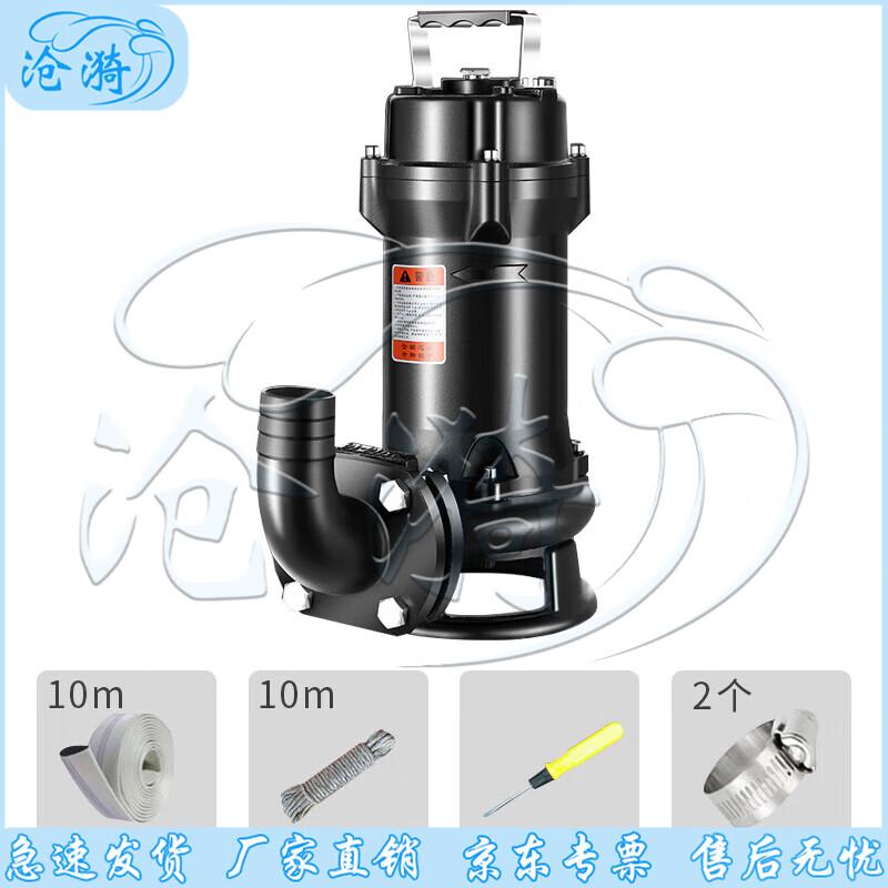 Cangyi Emergency Industrial Drainage Pump